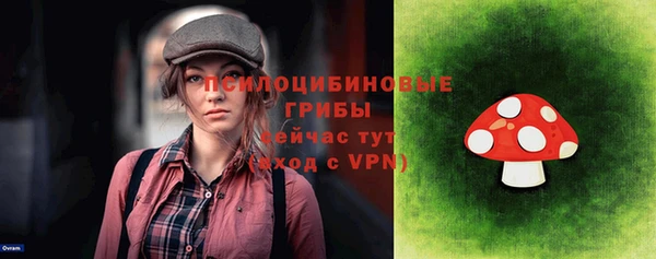 Альфа ПВП Горно-Алтайск