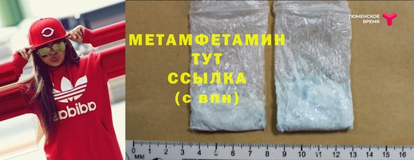 гидра Вязьма