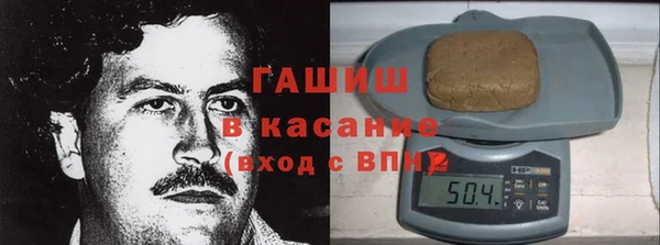 гидра Вязьма