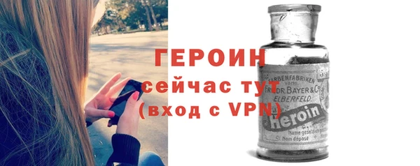 гидра Вязьма