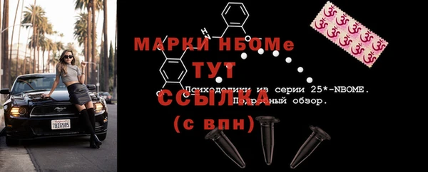 гидра Вязьма