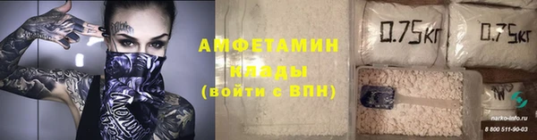 прущая мука Вяземский