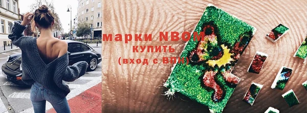 гидра Вязьма