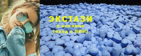 гидра Вязьма