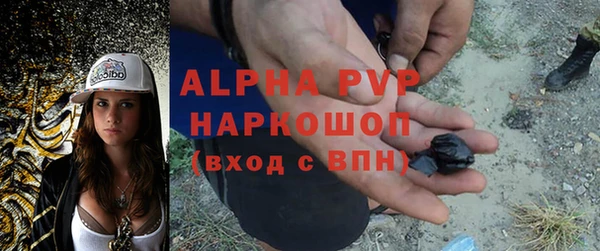 гидра Вязьма