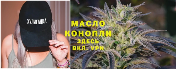 гидра Вязьма